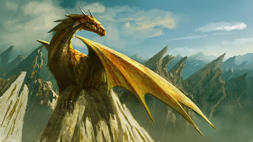 zlat drak